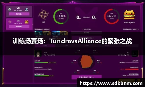 南宫NG28