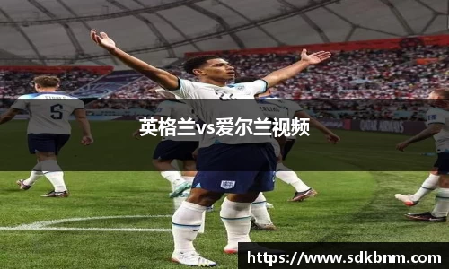 英格兰vs爱尔兰视频