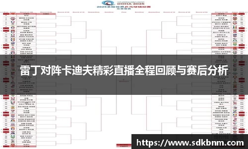 雷丁对阵卡迪夫精彩直播全程回顾与赛后分析