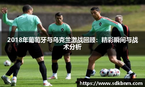 mk体育mksport